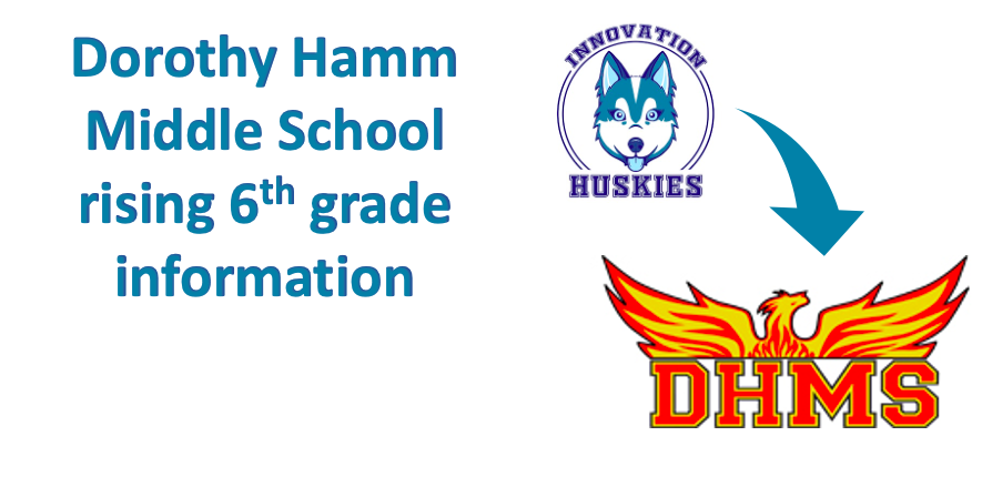 DHMS information